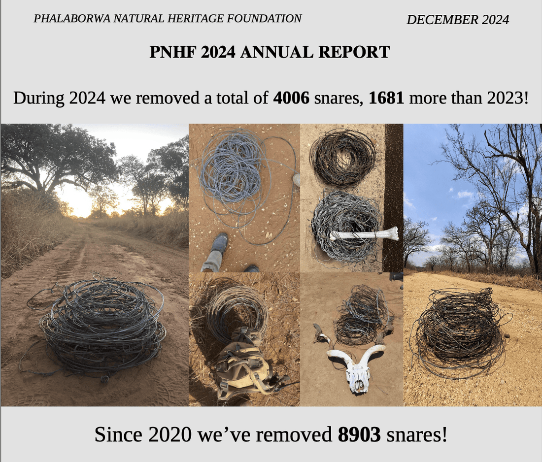 December 2024 Newsletter and Annual Wrap Up