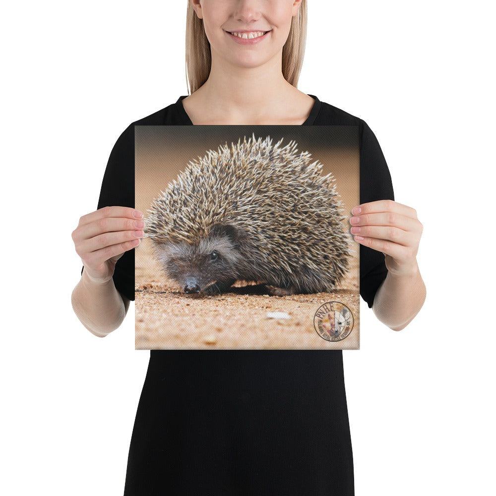 PHNF Hedgehog Canvas