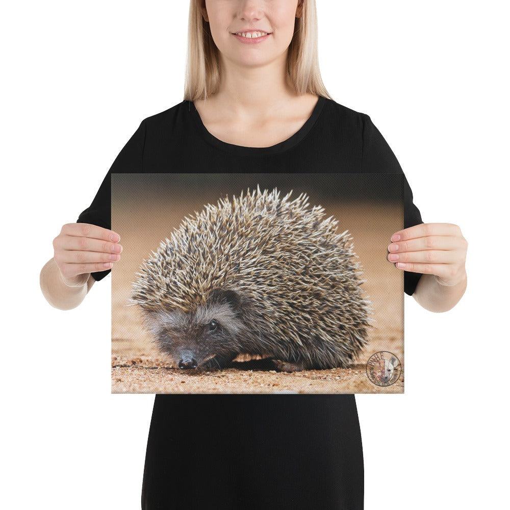 PHNF Hedgehog Canvas
