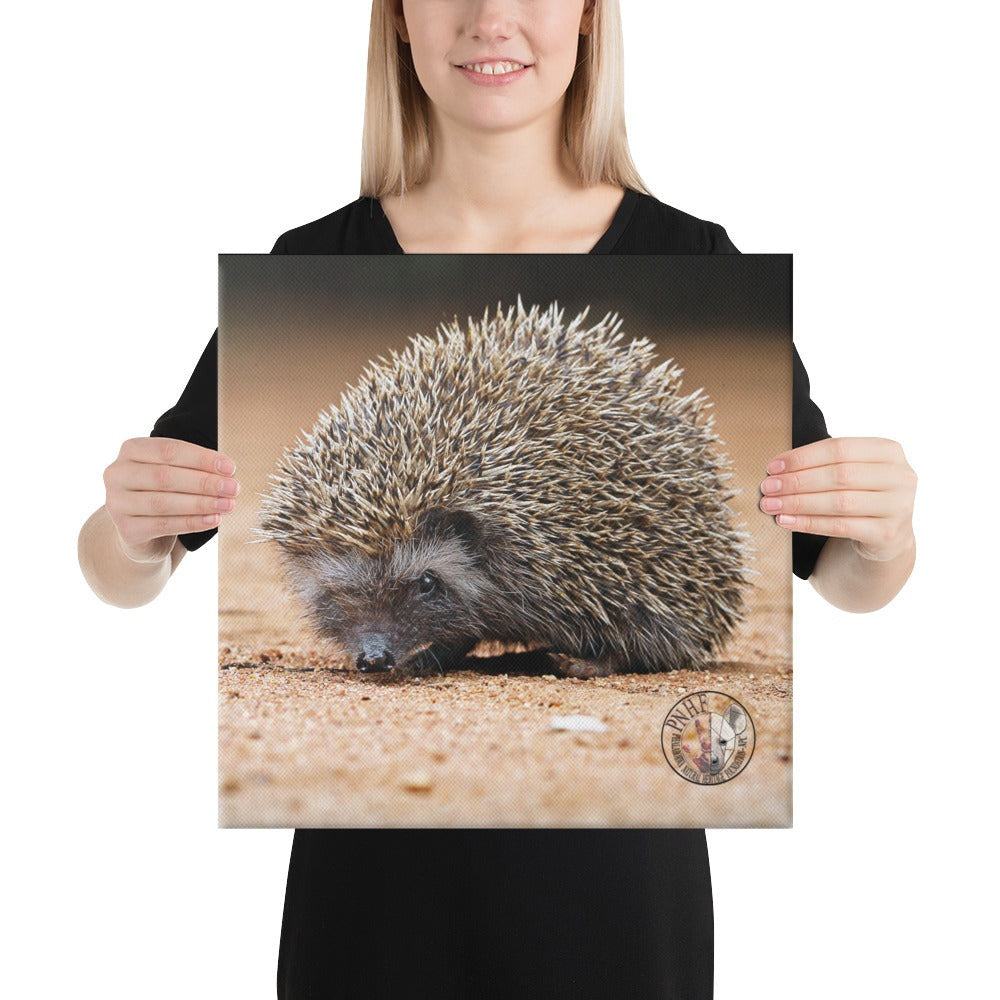PHNF Hedgehog Canvas