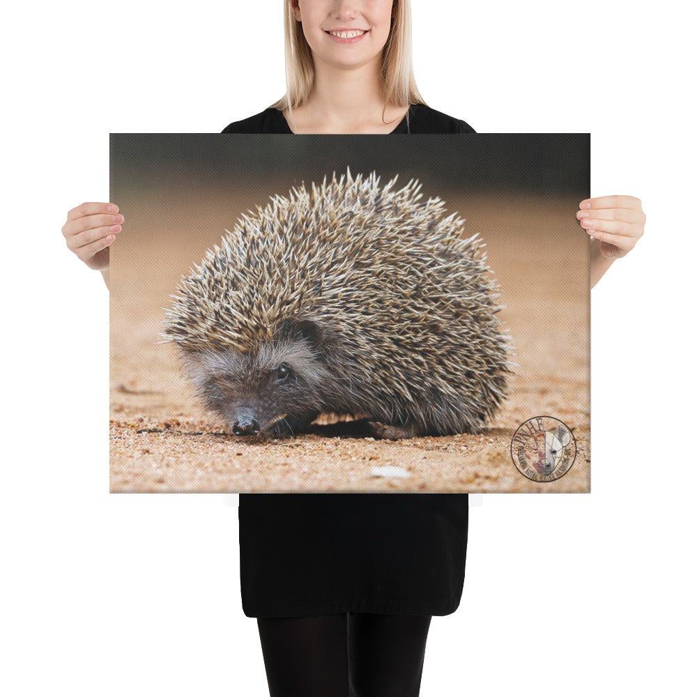 PHNF Hedgehog Canvas