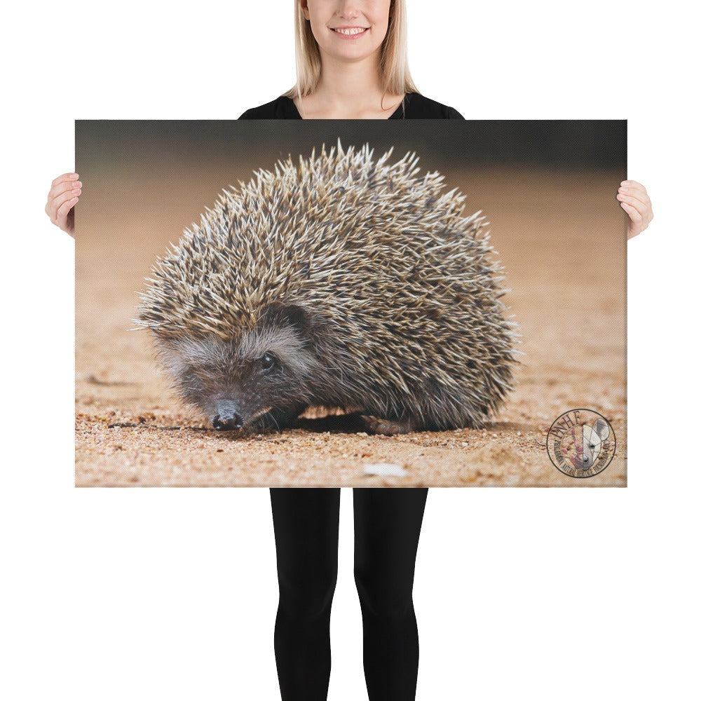 PHNF Hedgehog Canvas