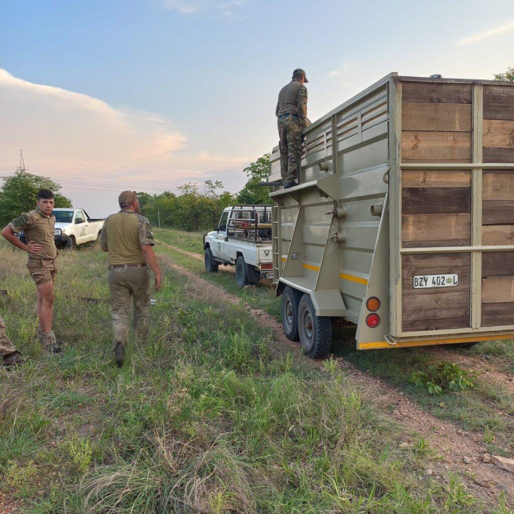 Dedicated Wildlife Rescue Vehicle - 2023 Fundraising Goal