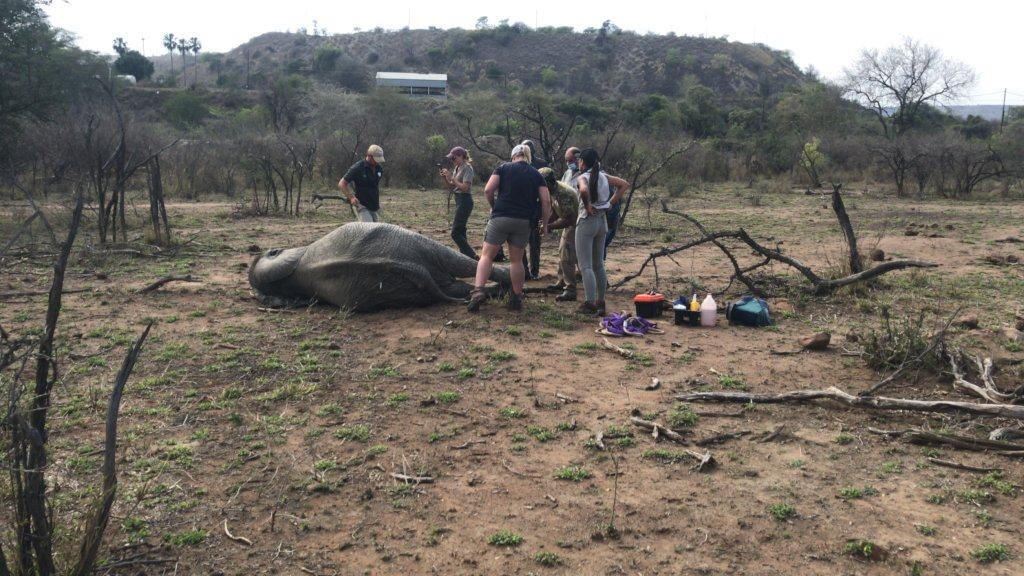 Dedicated Wildlife Rescue Vehicle - 2023 Fundraising Goal