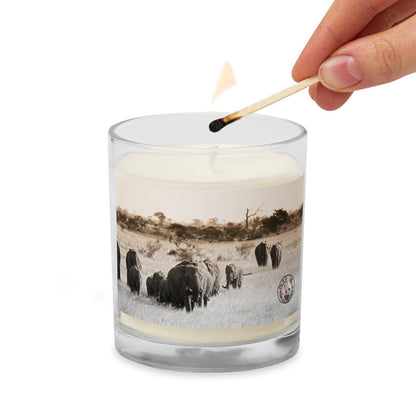 PNHF Soy Wax candle