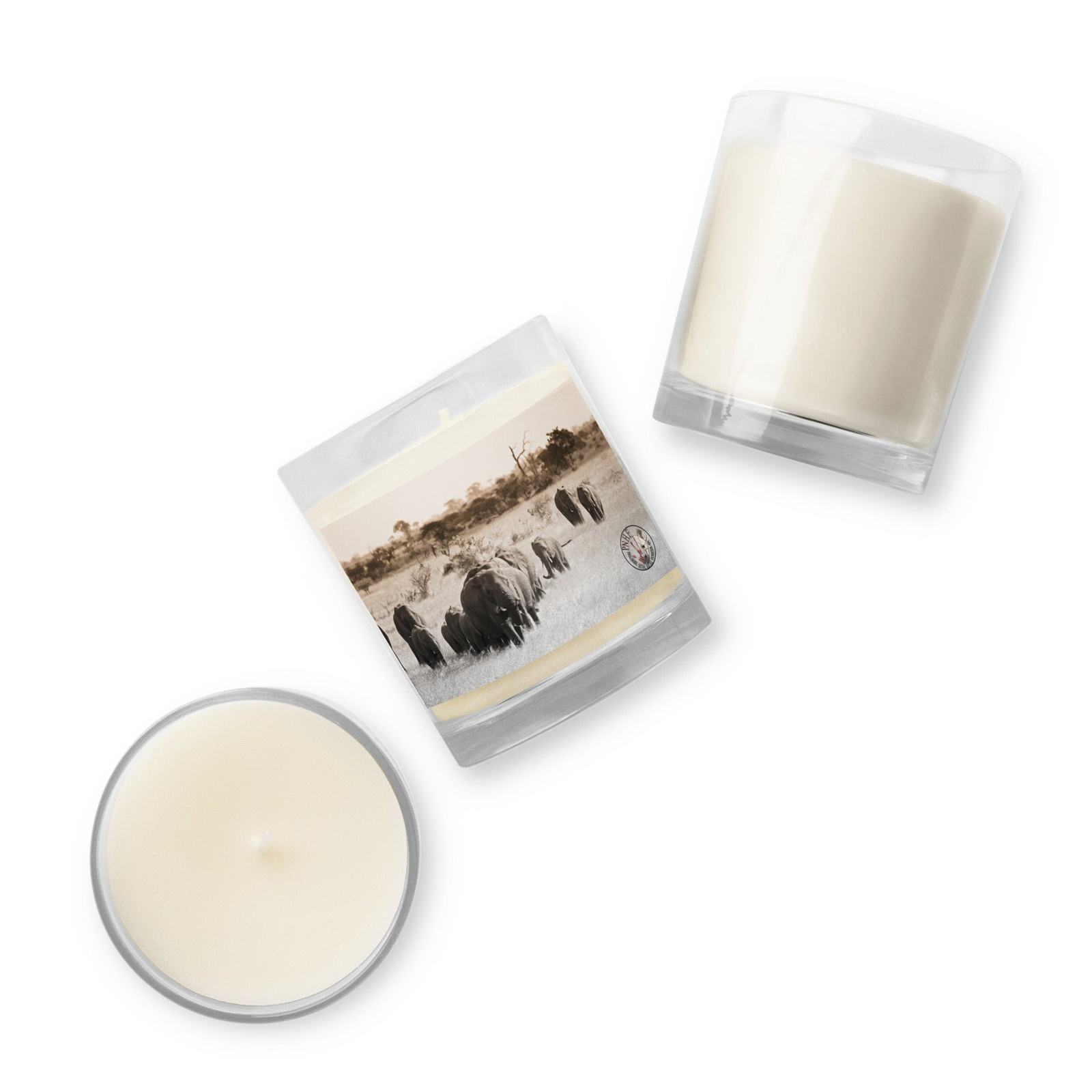 PNHF Soy Wax candle