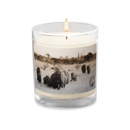 PNHF Soy Wax candle