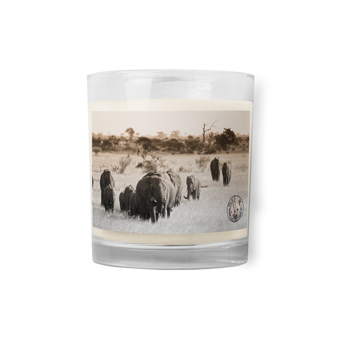 PNHF Soy Wax candle