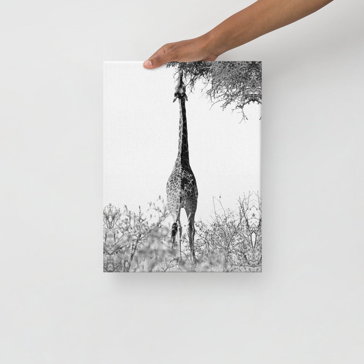 Giraffe Stretch Thin Canvas