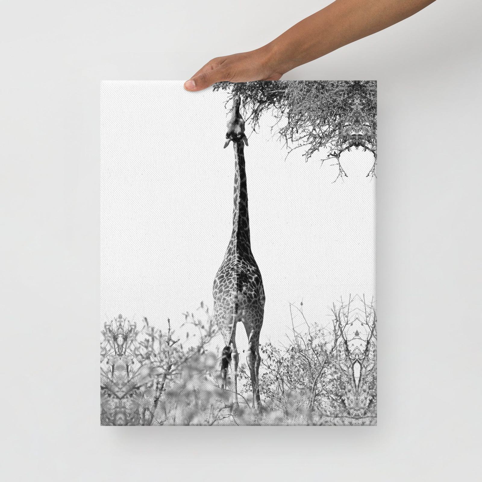 Giraffe Stretch Thin Canvas